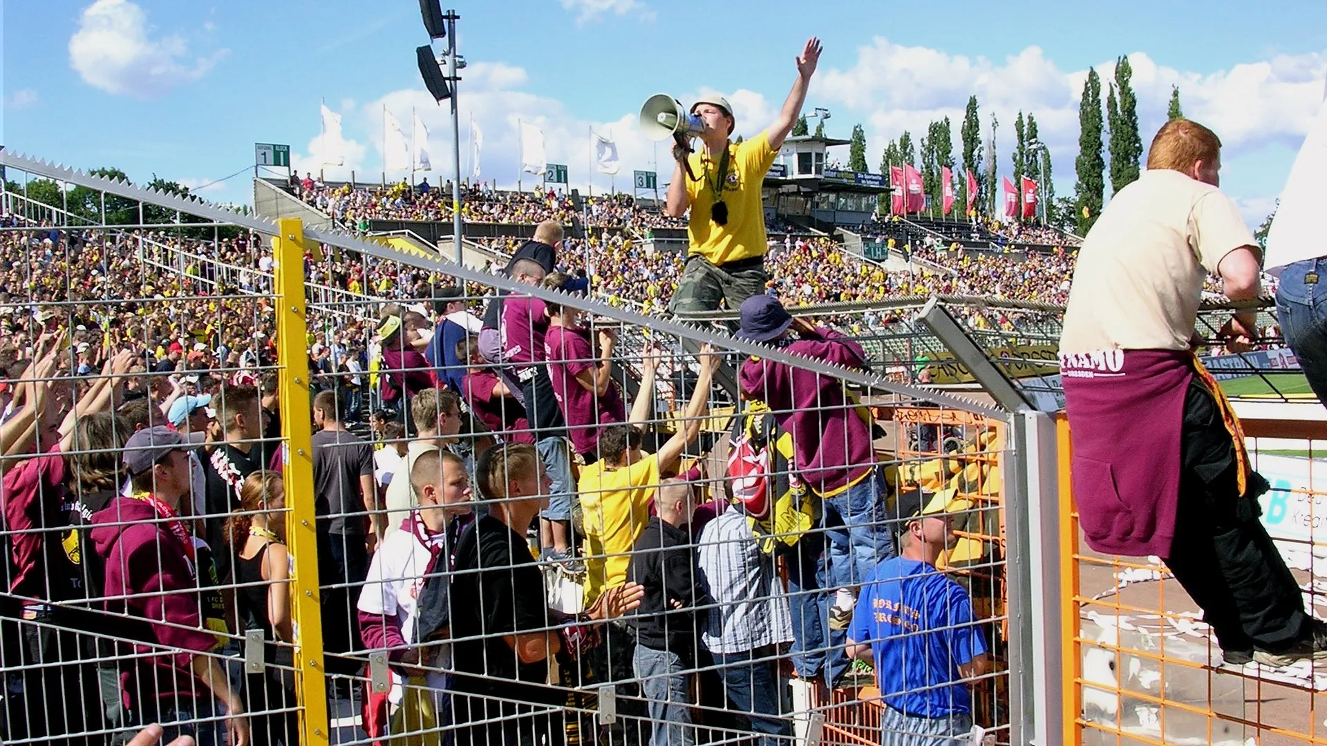 fans