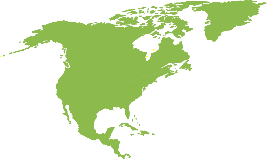 MLS